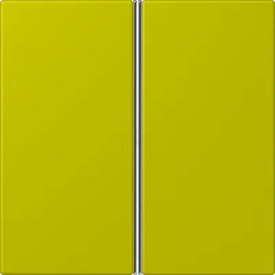 JUNG bedieningselement / centraalplaat knx f40 2v Les Couleurs vert olive vif 249 (LC 402 TSA 249)