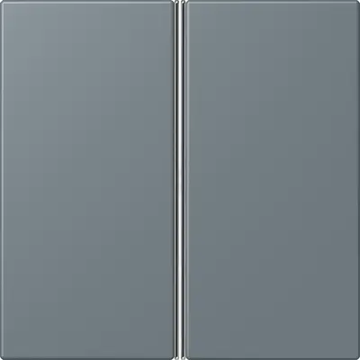 JUNG bedieningselement / centraalplaat knx f40 2v Les Couleurs gris 59 251 (LC 402 TSA 251)