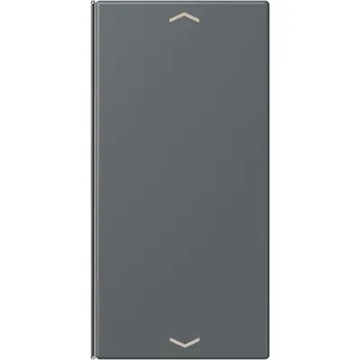 JUNG bedieningselement / centraalplaat knx wip f40 2v pl Les Couleurs gris fonce 31 202 (LC 402 TSAP 202)