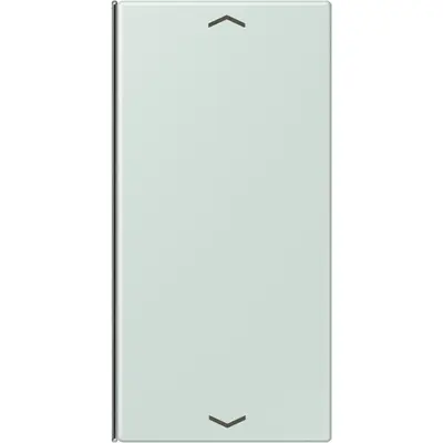 JUNG bedieningselement / centraalplaat knx wip f40 2v pl Les Couleurs ceruleen pale 215 (LC 402 TSAP 215)