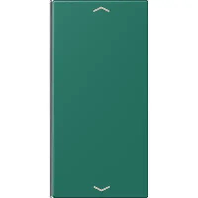 JUNG bedieningselement / centraalplaat knx wip f40 2v pl Les Couleurs vert anglais 216 (LC 402 TSAP 216)