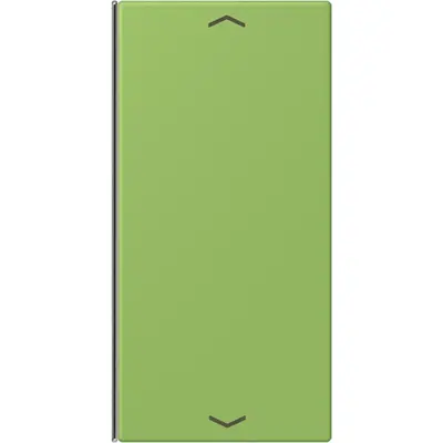 JUNG bedieningselement / centraalplaat knx wip f40 2v pl Les Couleurs vert 31 220 (LC 402 TSAP 220)