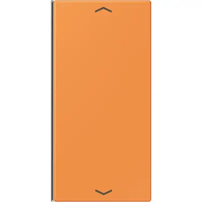 JUNG bedieningselement / centraalplaat knx wip f40 2v pl Les Couleurs orange clair 225 (LC 402 TSAP 225)
