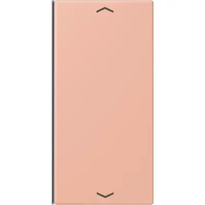 JUNG bedieningselement / centraalplaat knx wip f40 2v pl Les Couleurs rose clair 231 (LC 402 TSAP 231)