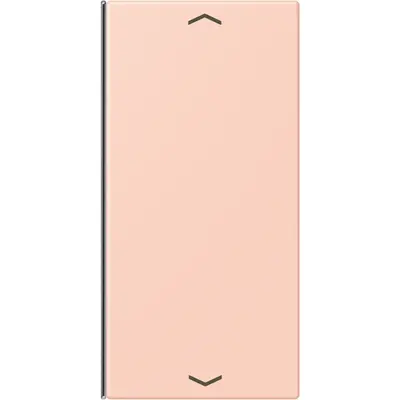 JUNG bedieningselement / centraalplaat knx wip f40 2v pl Les Couleurs l'ocre rouge clair 234 (LC 402 TSAP 234)