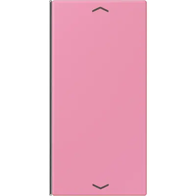 JUNG bedieningselement / centraalplaat knx wip f40 2v pl Les Couleurs rose vif 246 (LC 402 TSAP 246)