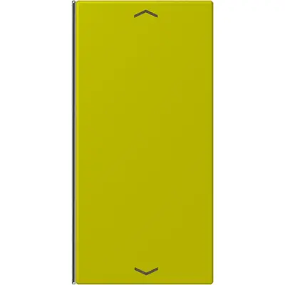 JUNG bedieningselement / centraalplaat knx wip f40 2v pl Les Couleurs vert olive vif 249 (LC 402 TSAP 249)