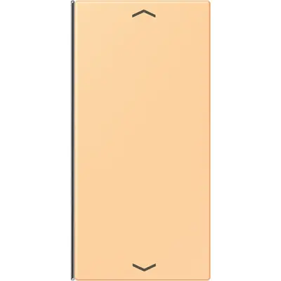 JUNG bedieningselement / centraalplaat knx wip f40 2v pl Les Couleurs terre sienne clair 59 258 (LC 402 TSAP 258)