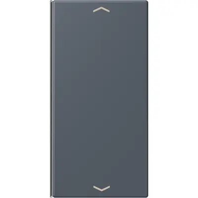 JUNG bedieningselement / centraalplaat knx wip f40 2v pl Les Couleurs gris fonce 59 262 (LC 402 TSAP 262)