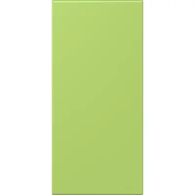 JUNG bedieningselement / centraalplaat tekstveldf50 Les Couleurs vert clair 221 (LC 50 NA 221)