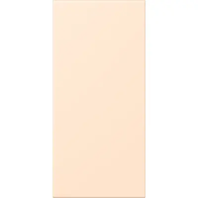 JUNG bedieningselement / centraalplaat tekstveldf50 Les Couleurs terre sienne pale 238 (LC 50 NA 238)