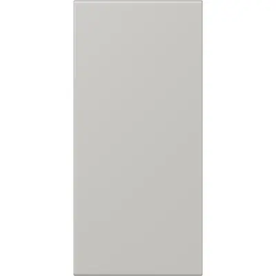 JUNG bedieningselement / centraalplaat tekstveldf50 Les Couleurs gris clair 31 205 (LC 50 NA 205)