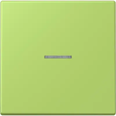 JUNG schakelwip met controlevenster Les Couleurs vert clair 221 (LC 990 KO5 221)
