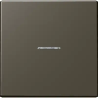 JUNG schakelwip met controlevenster Les Couleurs ombre naturelle 31 241 (LC 990 KO5 241)
