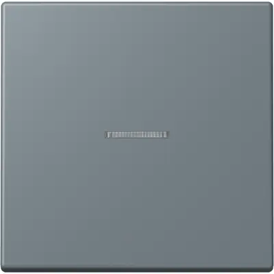 JUNG schakelwip met controlevenster Les Couleurs gris 59 251 (LC 990 KO5 251)
