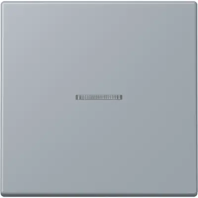 JUNG schakelwip met controlevenster Les Couleurs gris clair 59 257 (LC 990 KO5 257)