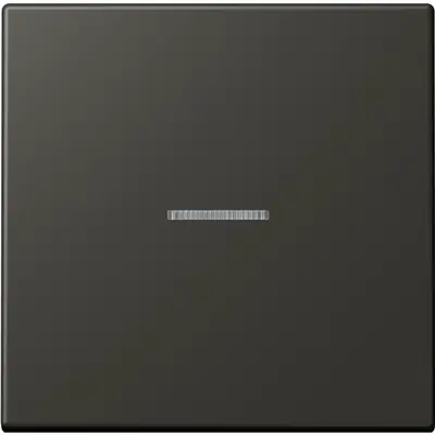 JUNG schakelwip met controlevenster Les Couleurs ombre naturelle 59 259 (LC 990 KO5 259)