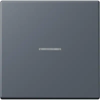 JUNG schakelwip met controlevenster Les Couleurs gris fonce 59 262 (LC 990 KO5 262)