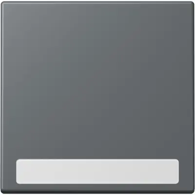 JUNG schakelwip met tekstvenster Les Couleurs gris fonce 31 202 (LC 990 NA 202)