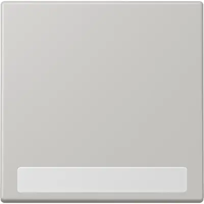 JUNG schakelwip met tekstvenster Les Couleurs gris clair 31 205 (LC 990 NA 205)