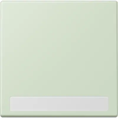 JUNG schakelwip met tekstvenster Les Couleurs vert anglais pale 218 (LC 990 NA 218)