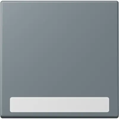 JUNG schakelwip met tekstvenster Les Couleurs gris 59 251 (LC 990 NA 251)
