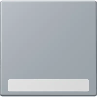 JUNG schakelwip met tekstvenster Les Couleurs gris clair 59 257 (LC 990 NA 257)