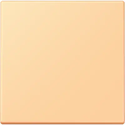 JUNG schakelwip Les Couleurs terre sienne clair 59 258 (LC 990 258)