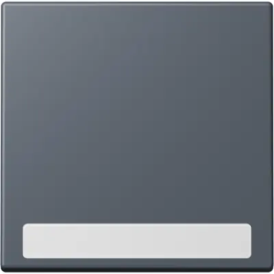 JUNG schakelwip met tekstvenster Les Couleurs gris fonce 59 262 (LC 990 NA 262)