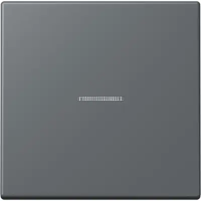 JUNG schakelwip met controlevenster Les Couleurs gris fonce 31 202 (LC 990 KO5 202)