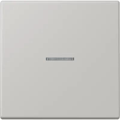 JUNG schakelwip met controlevenster Les Couleurs gris clair 31 205 (LC 990 KO5 205)