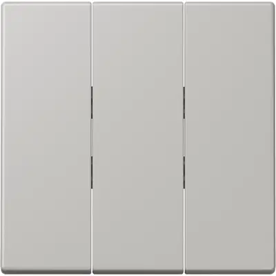 JUNG schakelwip 3-voudig tbv 3-voudige schakelaar 5306EU Les Couleurs gris clair 31 205 (LC 993 BF 205)