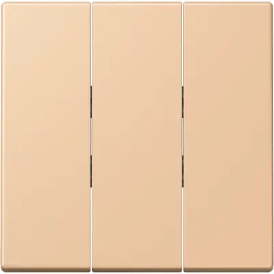 JUNG schakelwip 3-voudig tbv 3-voudige schakelaar 5306EU Les Couleurs terre sienne claire 31 237 (LC 993 BF 237)