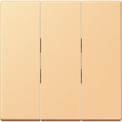 JUNG schakelwip 3-voudig tbv 3-voudige schakelaar 5306EU Les Couleurs terre sienne clair 59 258 (LC 993 BF 258)