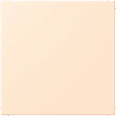 JUNG centraalplaat blinddeksel incl. draagframe Les Couleurs terre sienne pale 238 (LC 994 B 238)