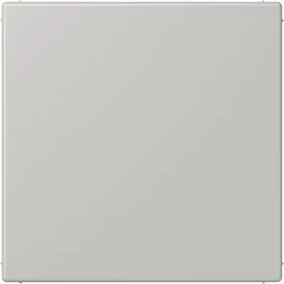 JUNG centraalplaat blinddeksel incl. draagframe Les Couleurs gris clair 31 205 (LC 994 B 205)
