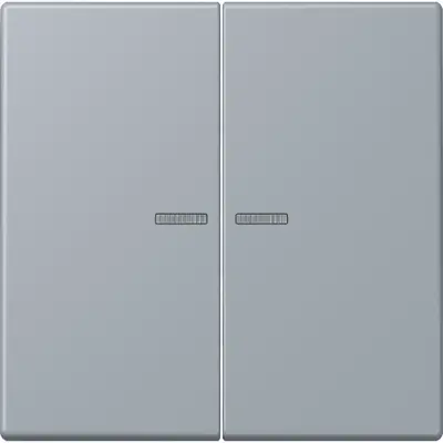 JUNG schakelwip 2-voudig met controlevenster Les Couleurs gris clair 59 257 (LC 995 KO5 257)