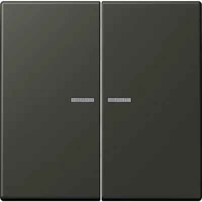 JUNG schakelwip 2-voudig met controlevenster Les Couleurs ombre naturelle 59 259 (LC 995 KO5 259)