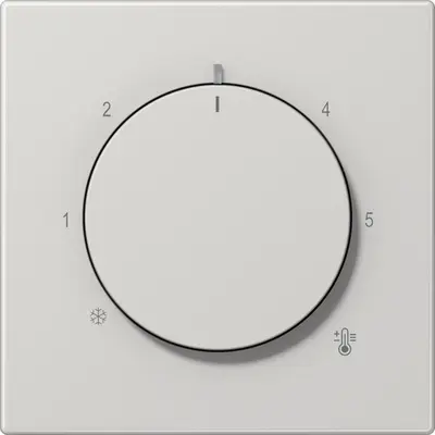 JUNG knop voor ruimtethermostaat LS990 lichtgrijs (LS 1749 BF LG)