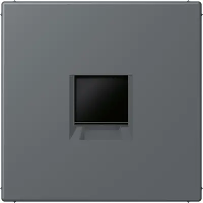 JUNG centraalplaat klikbevestiging 1-voudig met draagring keystone houder Les Couleurs gris fonce 31 202 (LC 1969-1 WE 202)