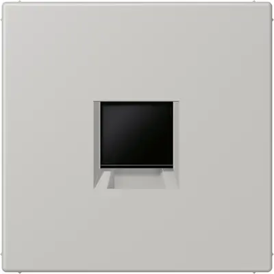 JUNG centraalplaat klikbevestiging 1-voudig met draagring keystone houder Les Couleurs gris clair 31 205 (LC 1969-1 WE 205)
