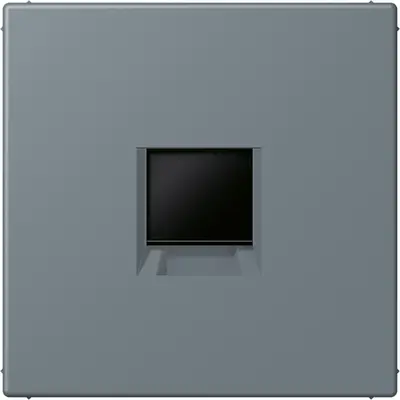 JUNG centraalplaat klikbevestiging 1-voudig met draagring keystone houder Les Couleurs gris 59 251 (LC 1969-1 WE 251)