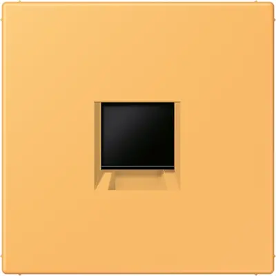 JUNG centraalplaat klikbevestiging 1-voudig met draagring keystone houder Les Couleurs ocre jaune clair 254 (LC 1969-1 WE 254)