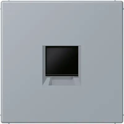 JUNG centraalplaat klikbevestiging 1-voudig met draagring keystone houder Les Couleurs gris clair 59 257 (LC 1969-1 WE 257)
