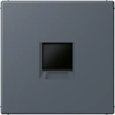 JUNG centraalplaat klikbevestiging 1-voudig met draagring keystone houder Les Couleurs gris fonce 59 262 (LC 1969-1 WE 262)