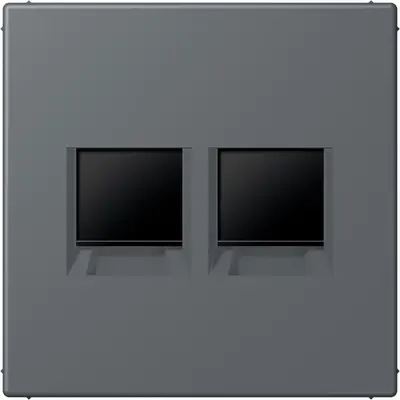 JUNG centraalplaat klikbevestiging 2-voudig met draagring keystone houder Les Couleurs gris fonce 31 202 (LC 1969-2 WE 202)