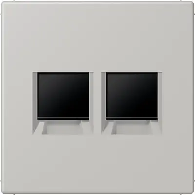 JUNG centraalplaat klikbevestiging 2-voudig met draagring keystone houder Les Couleurs gris clair 31 205 (LC 1969-2 WE 205)