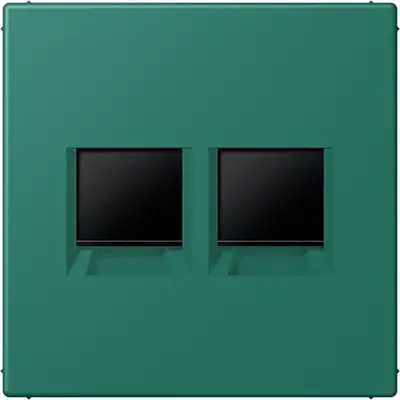 JUNG centraalplaat klikbevestiging 2-voudig met draagring keystone houder Les Couleurs vert anglais 216 (LC 1969-2 WE 216)