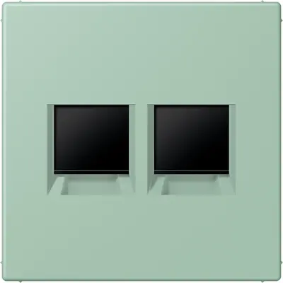 JUNG centraalplaat klikbevestiging 2-voudig met draagring keystone houder Les Couleurs vert anglais clair 217 (LC 1969-2 WE 217)