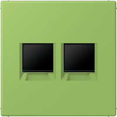 JUNG centraalplaat klikbevestiging 2-voudig met draagring keystone houder Les Couleurs vert 31 220 (LC 1969-2 WE 220)